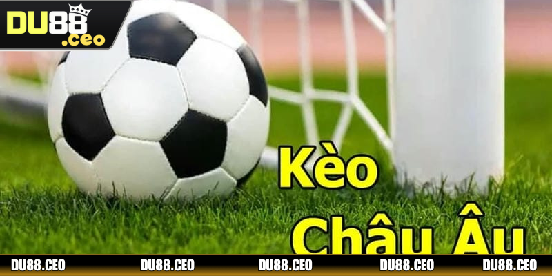 Bật mí qua top các bí quyết hiệu quả cho newbie