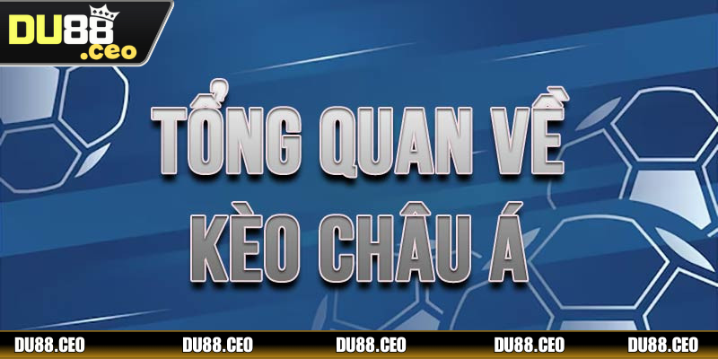 Kèo châu Á - loại hình cá độ giải trí đặc biệt top đầu 2025